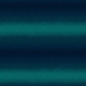 Feather and Flora: Ombre Texture, Midnight